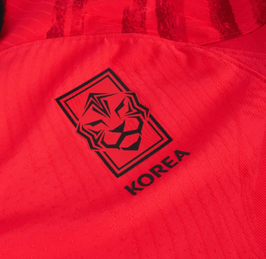 Camisa Seleção da Coreia 22/23 Torcedor Nike Masculina - Vermelho e Preto